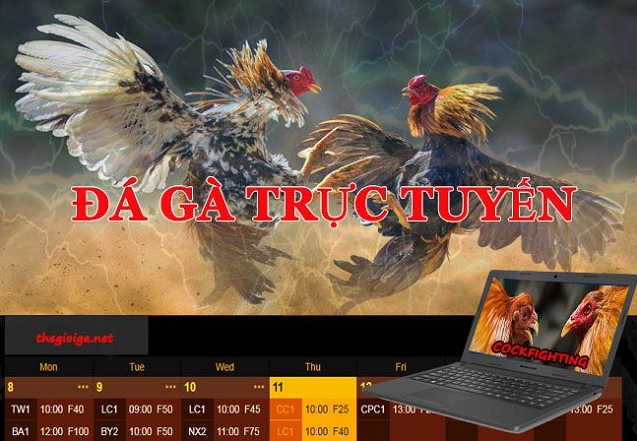 Làm thế nào để chơi game đá gà rikvip ?